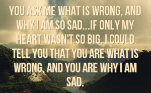 so big i could tell you that you are what is wrong and you are why i ...
