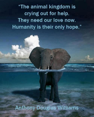 The animal kingdom is crying out for help they need our love now ...