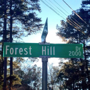 cole 2014 forest hills drive
