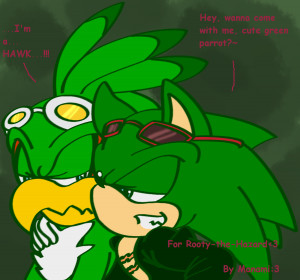 Go Back > Gallery For > Sonic X Jet