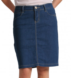 Home Knee Length Pencil Skirt