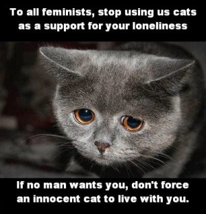 Why Women Are Like Cats And Men Are Like Dogs