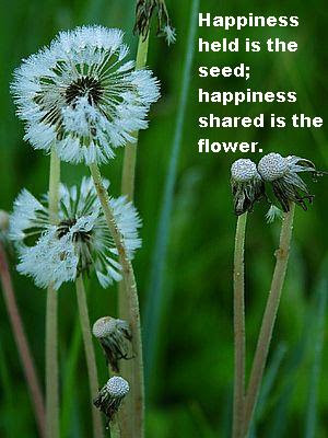 Happiness grows at our own firesides, and is not to be picked in ...