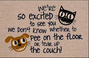 Creatively Funny Doormats (24 Mats)