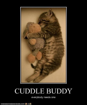 Cuddle Buddy, everybody needs one