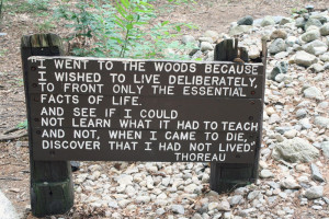 Picnic At Walden Pond. Thoreau On Walden Pond. View Original ...