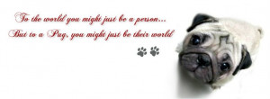 ... Cover Photo For Your Timeline. Pug QuotesPug Quotes, Pugs Quotes