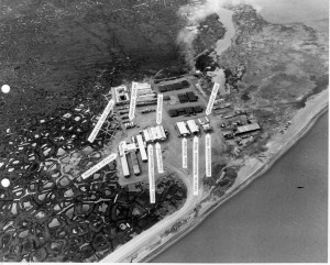 free horney lonely grandmothers