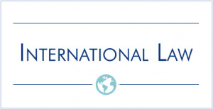 About the International Law Section