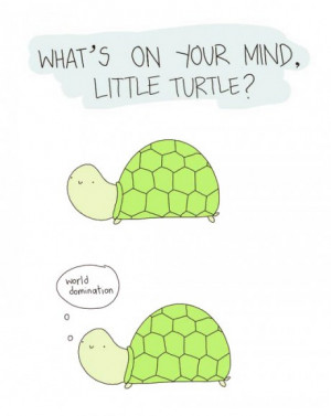 funny-picture-little-turtle-world-domination