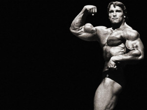Arnold Schwarzenegger 1280x960 Papel de Parede Wallpaper