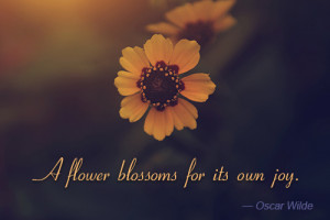 Awesome Quotes and Sayings About Flowers