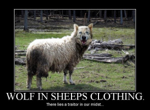 Wolves in Sheep 39 s Clothing Quotes