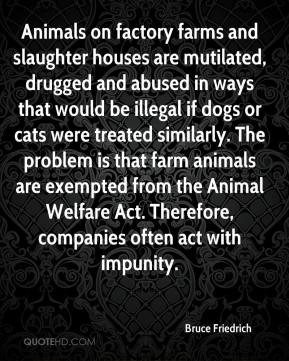 ... -friedrich-quote-animals-on-factory-farms-and-slaughter-houses.jpg