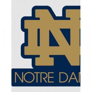 College Team Logos Notre Dame Fighting Irish 6161274 Home Improvement