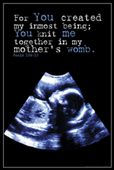 UNBORN CHILD IN WOMB (Ultrasound) Poster - Psalm 139:13 - Slingshot ...