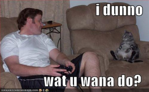 cats : funny-pictures-lounging-cat-guy-plays-videogames