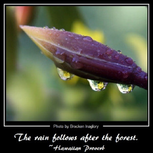 Brocken Inaglory [ CC-BY-SA-3.0 ],