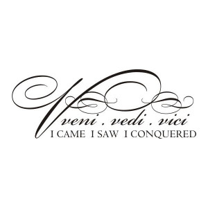 Foreign Language Vinyl Words & Wall Quotes #10 found on Polyvore