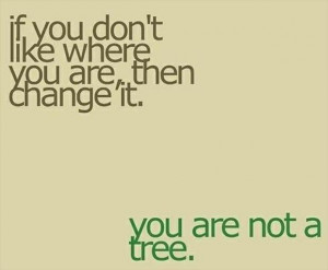 true quotes, you are not a tree - Dump A Day