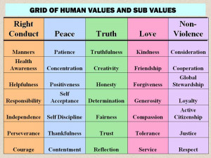 human values are those universal concepts drivers of action which are ...