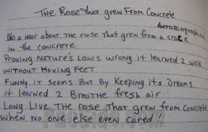 An allusion to 2Pac ’s poem “The Rose that Grew from Concrete” .