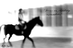 horse quotes more lovers quotes equestrian quotes horses cans t hors ...