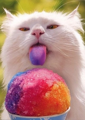haha !!! Ice cream kitty by Cypae