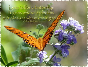 Love is like a butterfly