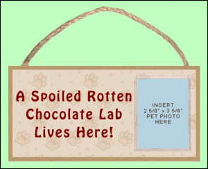 Rotten Lab