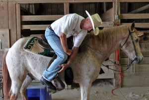 :00Z 2012-05-30T07:32:52Z Fenton stroke survivor and blind horse help ...