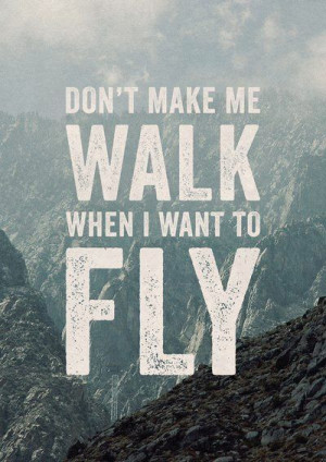 want to fly...