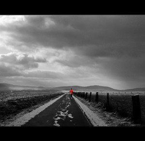 ... Running Quotes: “If You Don’t Think You Were Born To Run