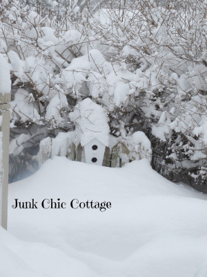 ... the house! Baby it's cold and snowy outside so I am staying inside