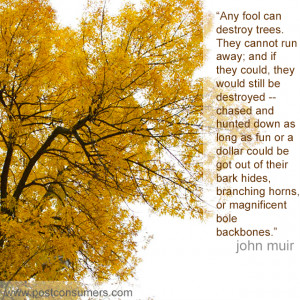Favorite John Muir Quotes: Fools and Trees