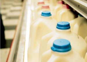 does milkand its product spin offsreally do a body good absolutely if ...