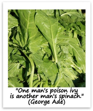 ... is another man's spinach.
