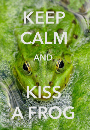 Keep Calm And Kiss A Frog Funny Quote Photograph