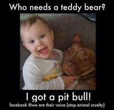 got a pit bull more bullying pitt bull dogs teddy bears pitbull pit ...
