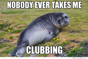 Sad Seal meme – Nobody ever takes me clubbing