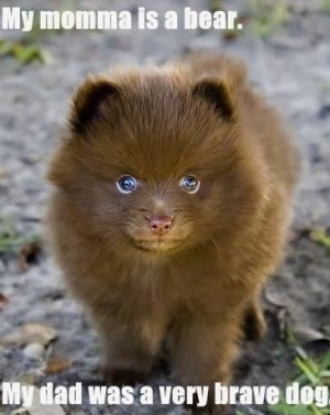 Posted by Collin On September - 28 - 2012