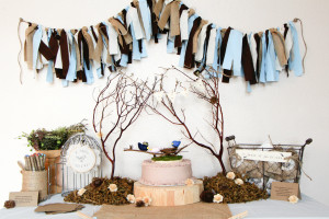 Feather The Wind Nae Nest