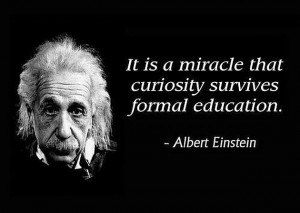 30 Best Collection Of Albert Einstein Quotes