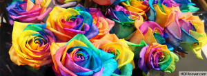Colorful Rose Flowers Fb Cover photo for your timeline. HDfbcover.com ...
