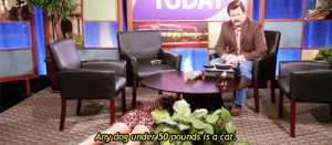 ... Ron Swanson nick offerman vicparks cats are pointless and evil stupid