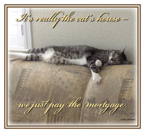HOME QUOTES TO LIVE BY QUOTES FOR GARDENERS QUOTES FOR CAT LOVERS WINE ...