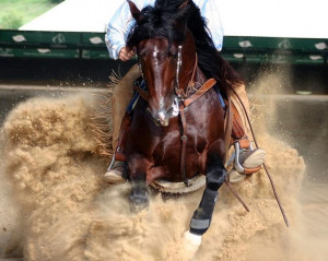 Reining Horse Slide Don't ride western.. But LOVE the picture!
