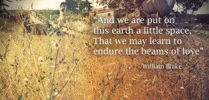William-Blake-quote-beams-of-love-slide.jpg