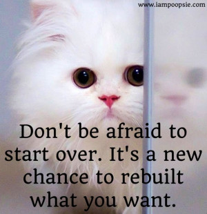 Quotes Starting Over Pics