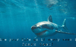Shark Week Let See Those Quotes Preferably Ones That We Wallpaper with ...